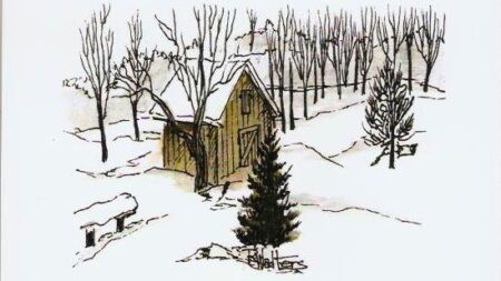 The Old Ice House