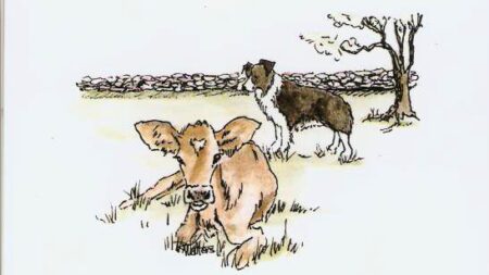 Farm Critters