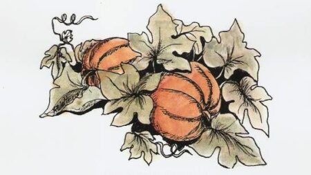 One Special Pumpkin