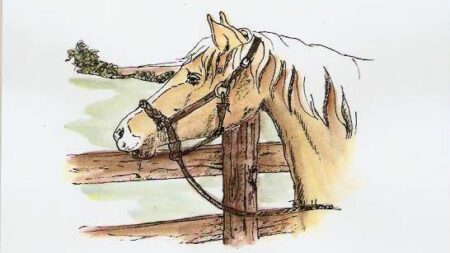 The Bridle